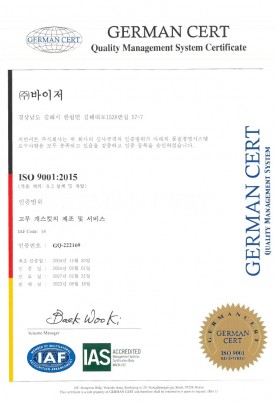 ISO 9001