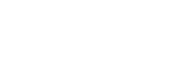 바이저(VISER)